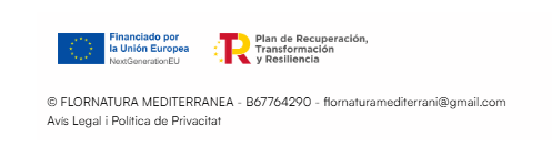 Finançat per la Unió Europea — NextGenerationEU i Pla de Recuperació, Transformació i Resiliència